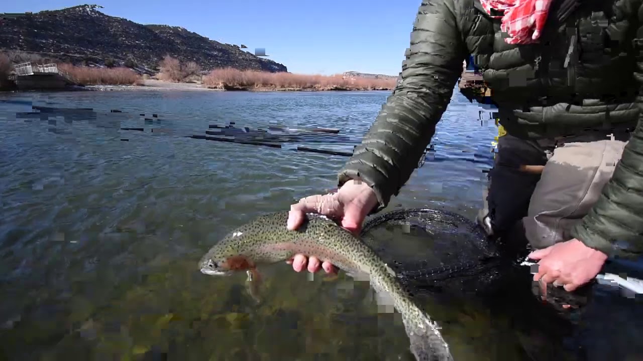 SAN JUAN EURO NYMPHING & STREAMERS with ABOUTTROUT - NMAKTIMA FLY FISHING
