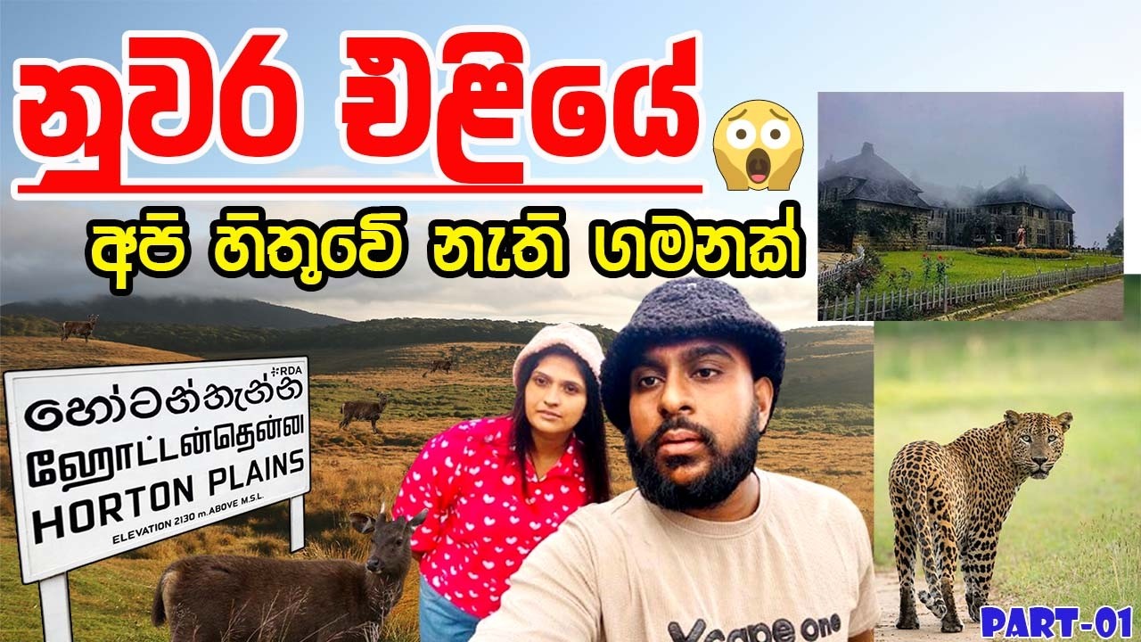 සීතල නුවරඑළිය – හිත සැනසෙන පළමු දවස #fypシ #travel #fypviralシ #travelvlog #travelvideo 