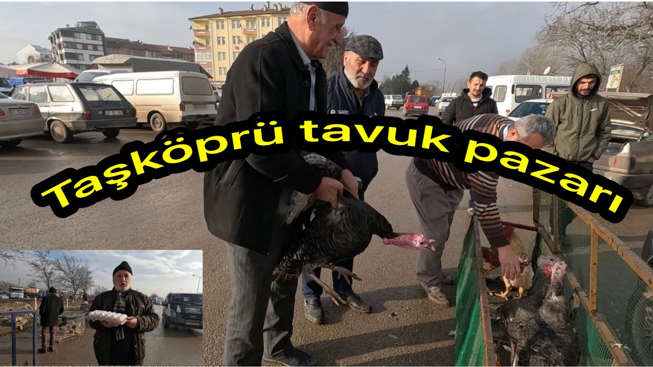 Taşköprü tavuk pazarı-kıran kırana pazarlıklar pazar yerinde rengarenk görüntüler 🦆🦢🐓🦃