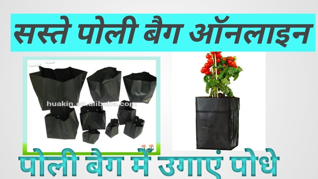 Buy cheapest poly bags , grow bags , nursery bags online in india   पोली बैग खरीदें ऑनलाइन