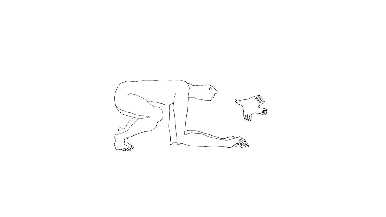 Agar Agar - Nap