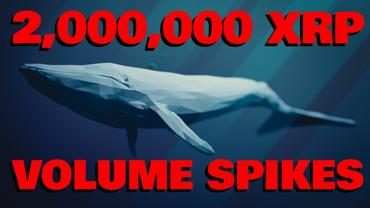 XRP MYSTERY Volume Spikes | 2,000,000 XRP SAVED From Fraud | Nasdaq Company BUYS CRYPTO