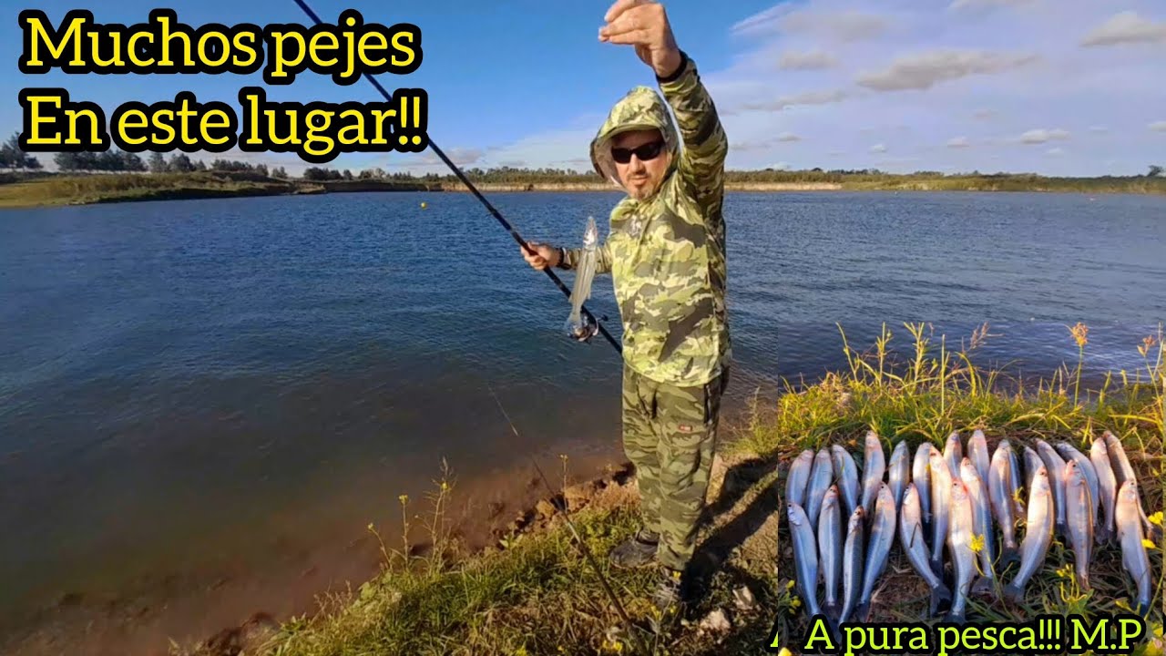 PESCA DE PEJERREY 2025/MUCHOS PEJES EN ESTE LUGAR !!
