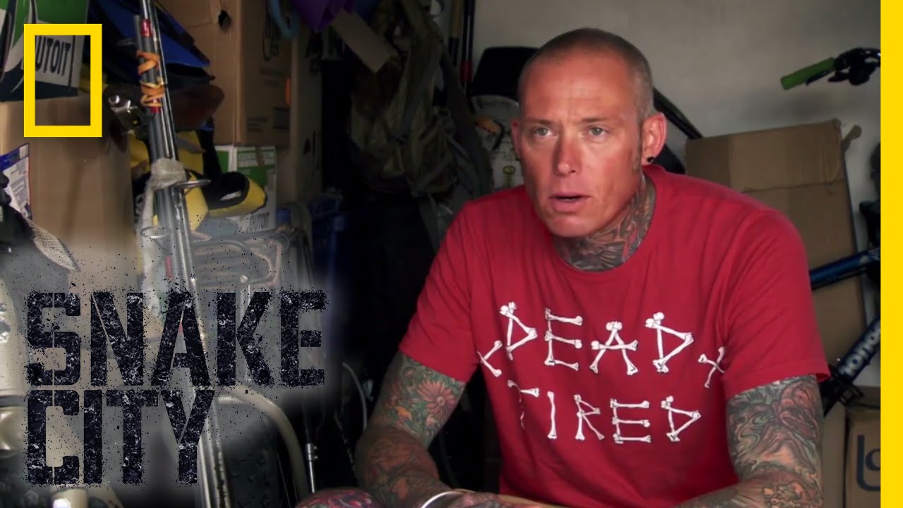 Cobra at the Bait and Tackle | Snake City