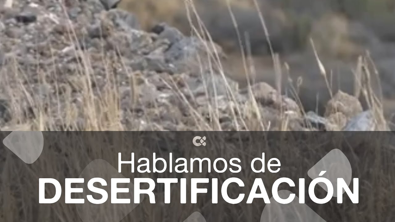 Hablamos de desertificación