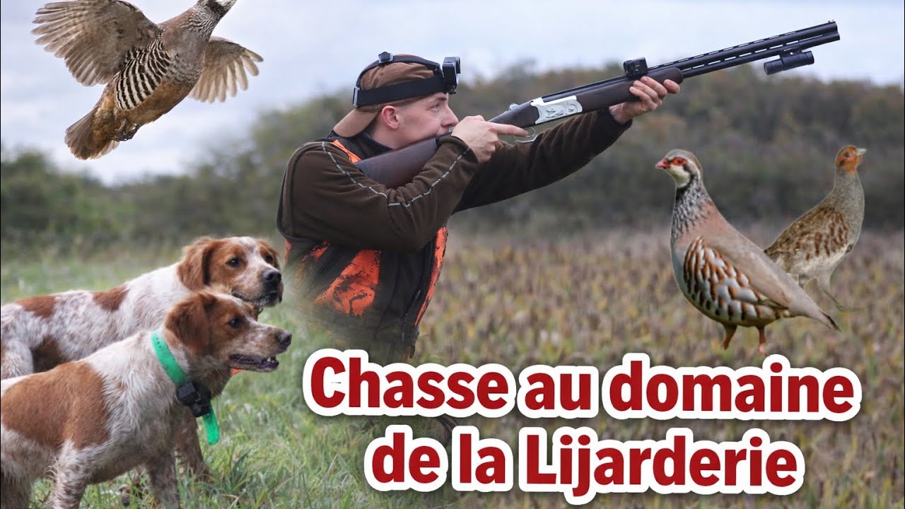 CHASSE AU DOMAINE DE LA LIJARDERIE !!  