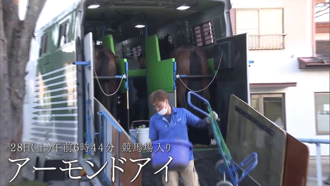 三冠馬たちが決戦の地・東京競馬場入り【ジャパンカップ2020】