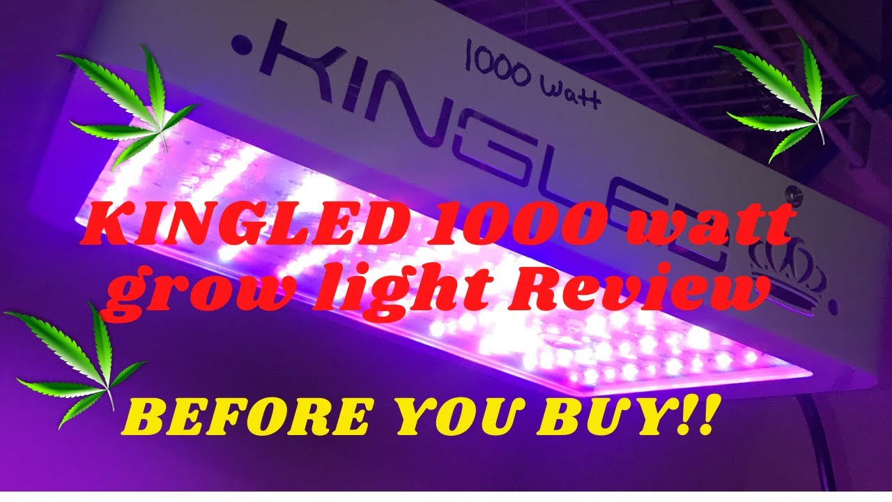 King Plus 1000w LED Grow Light Double Chips Full Spectrum UV&IR Review