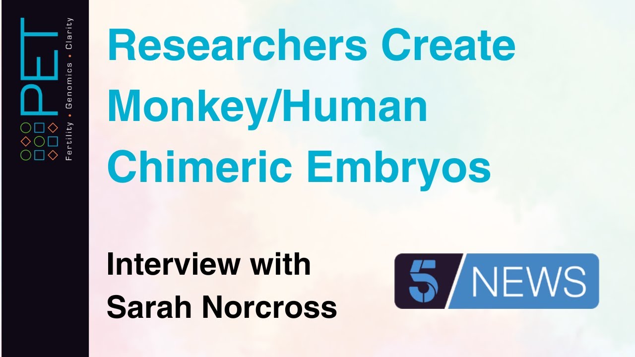 Researchers Create Monkey/Human Chimeric Embryos (Sarah Norcross interviewed by Andy Bell, 5 News)
