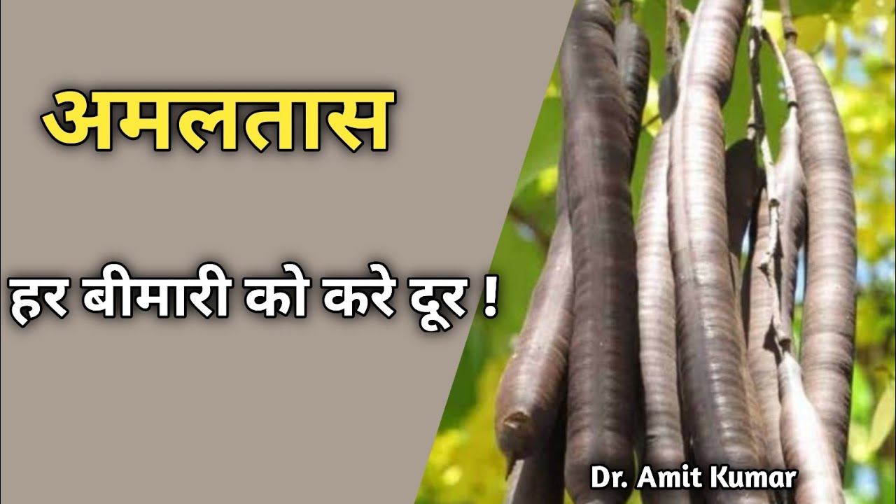 Amaltas Har Bimari Ko Kre Door !