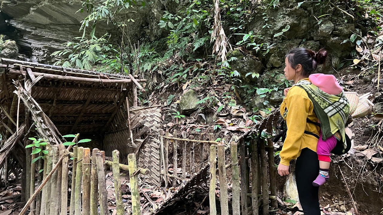 36 Hours of Survival in the Wilderness – No Electricity, No Water