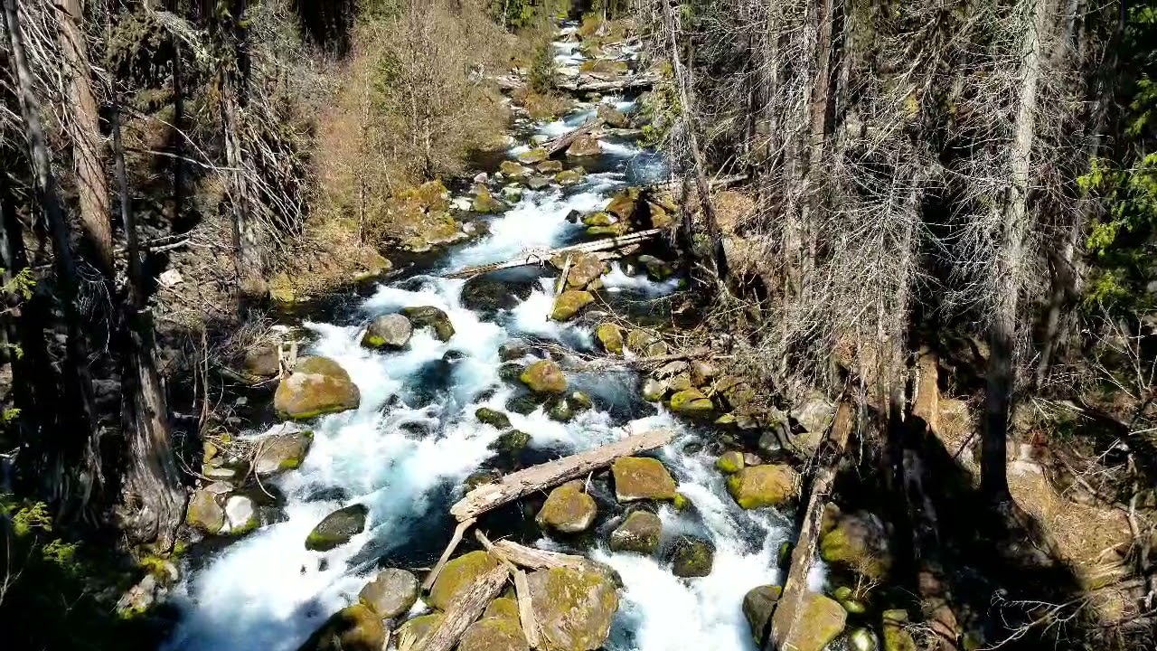 McKenzie River Trail to Tamolitch Blue Pool Oregon
