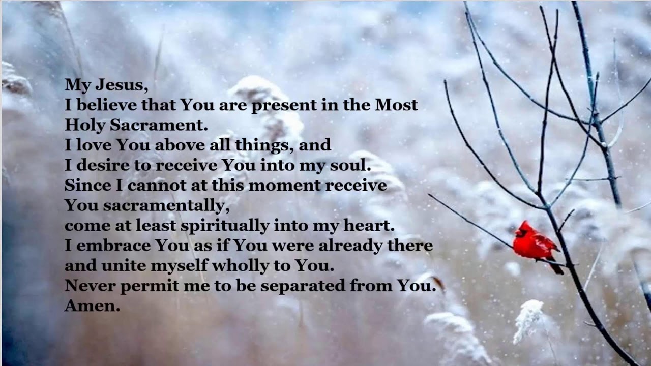 Daily Mass