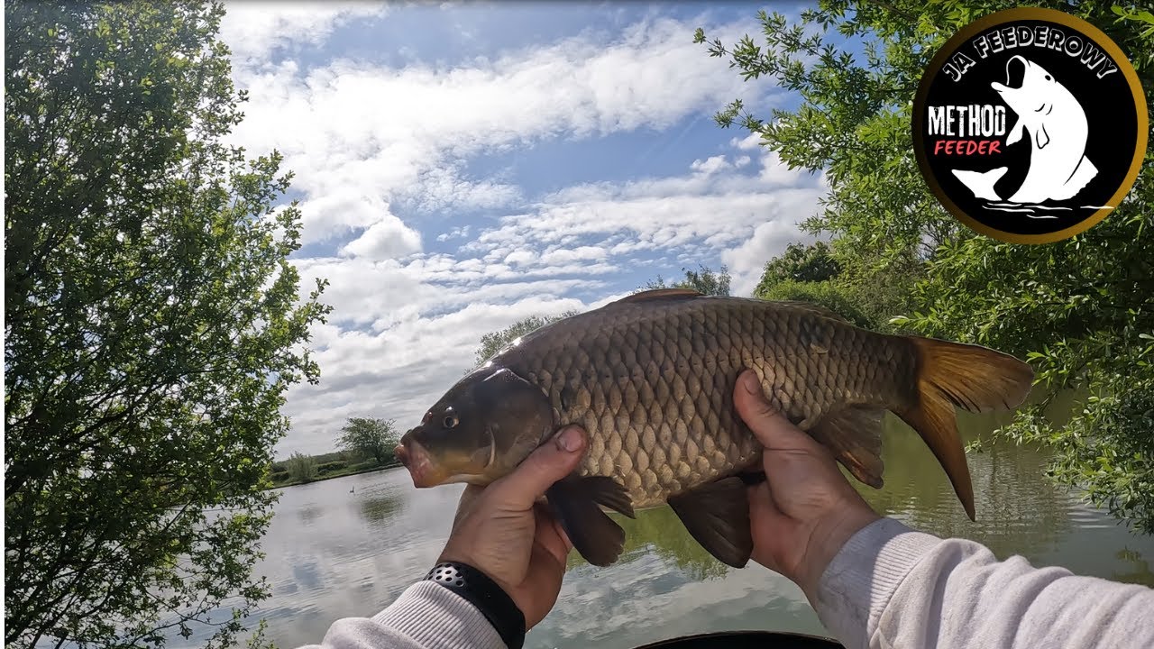 METHOD FEEDER