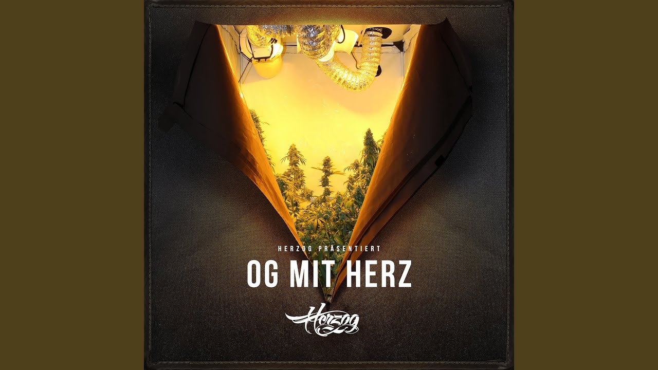 Herz OG