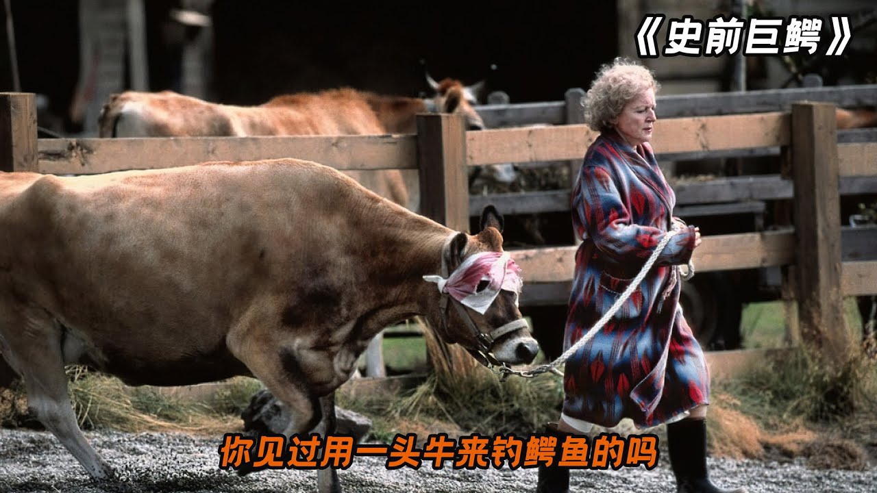 老太太竟养了一只鳄鱼当宠物