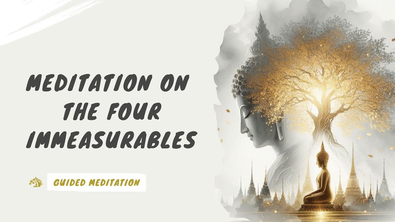 【ENG DUB】Meditation on the Four Immeasurables #meditation #spiritualpractice #prayer #boddhisatva