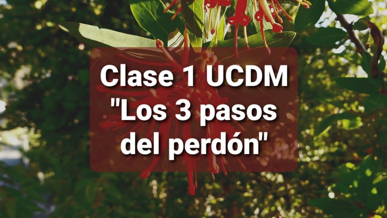 Clase 1 