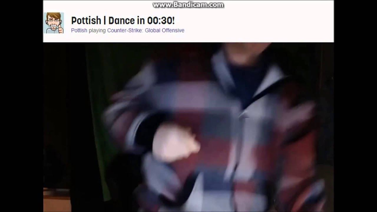 Pottish Chicken Dance on Twitch Original