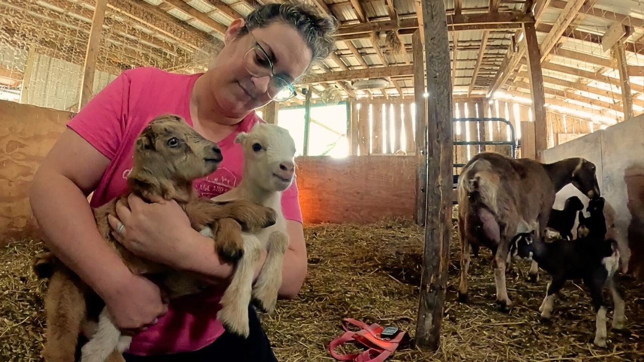 A Surprise & MAJOR Scare!! (I Need a Good Cry & a Nap) | Goat Birth VLOG