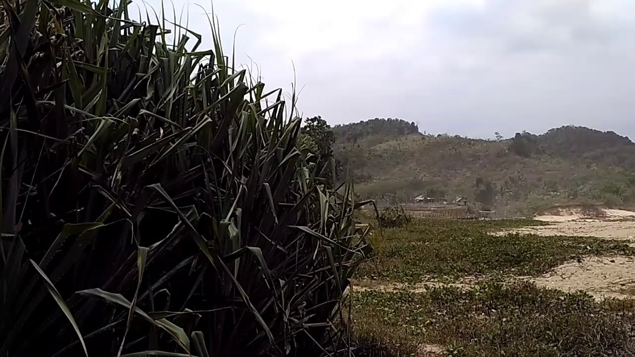 Destinasi Wisata Pantai Molang