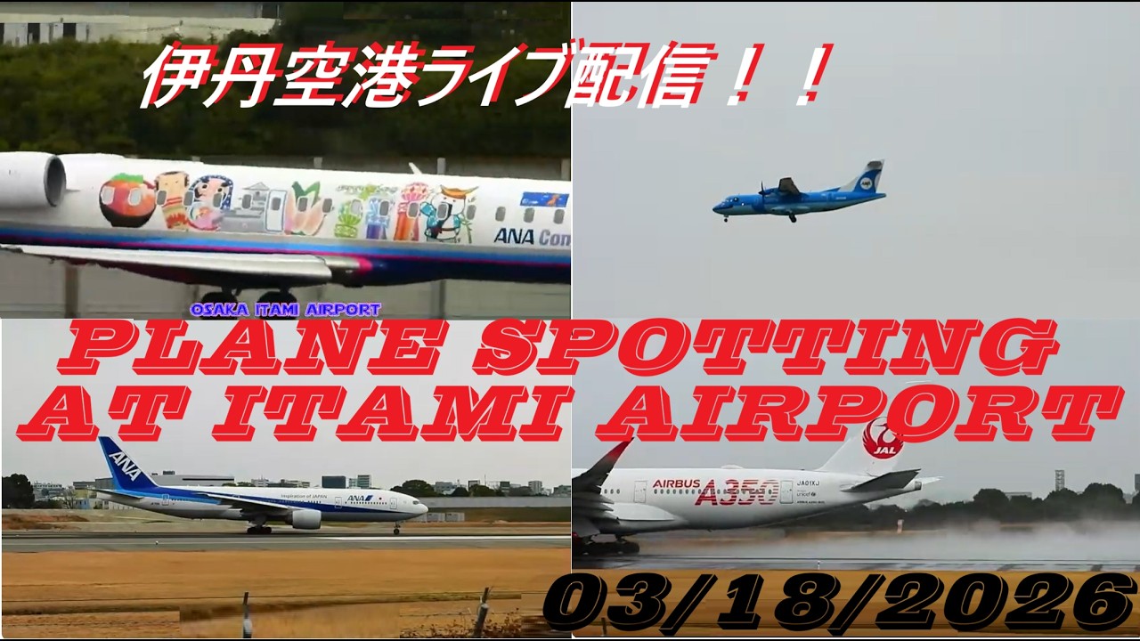 天草エアライン・みぞか号生中継！伊丹空港!!  Plane Spotting Itami Airport 03/18/2026