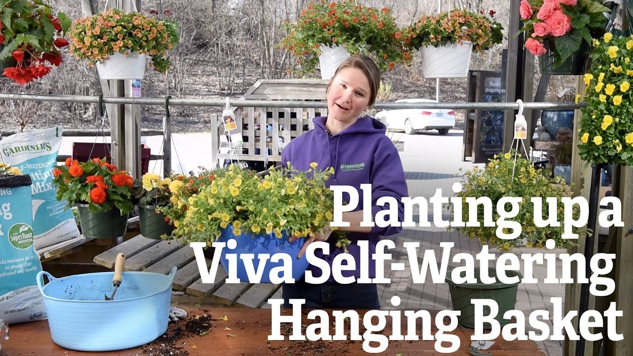 Planting up a Viva Self-Watering Hanging Basket