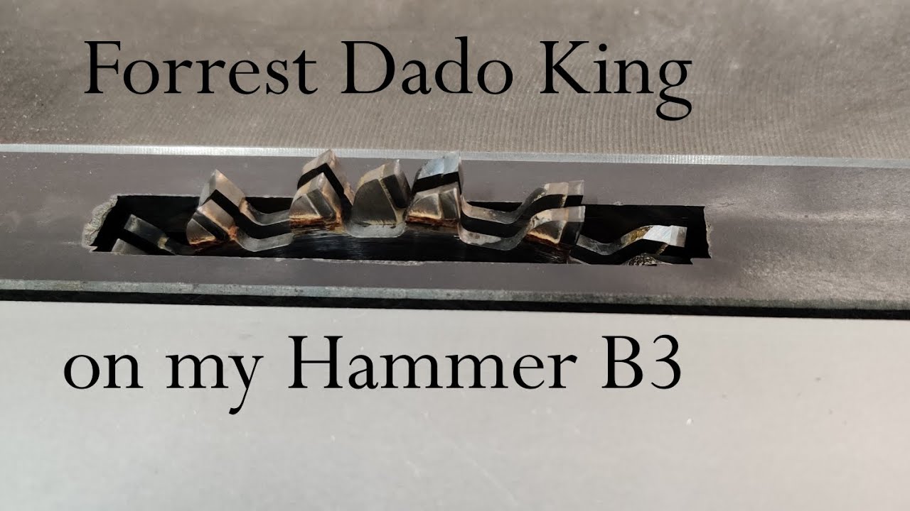 Forrest Dado King on my Hammer B3