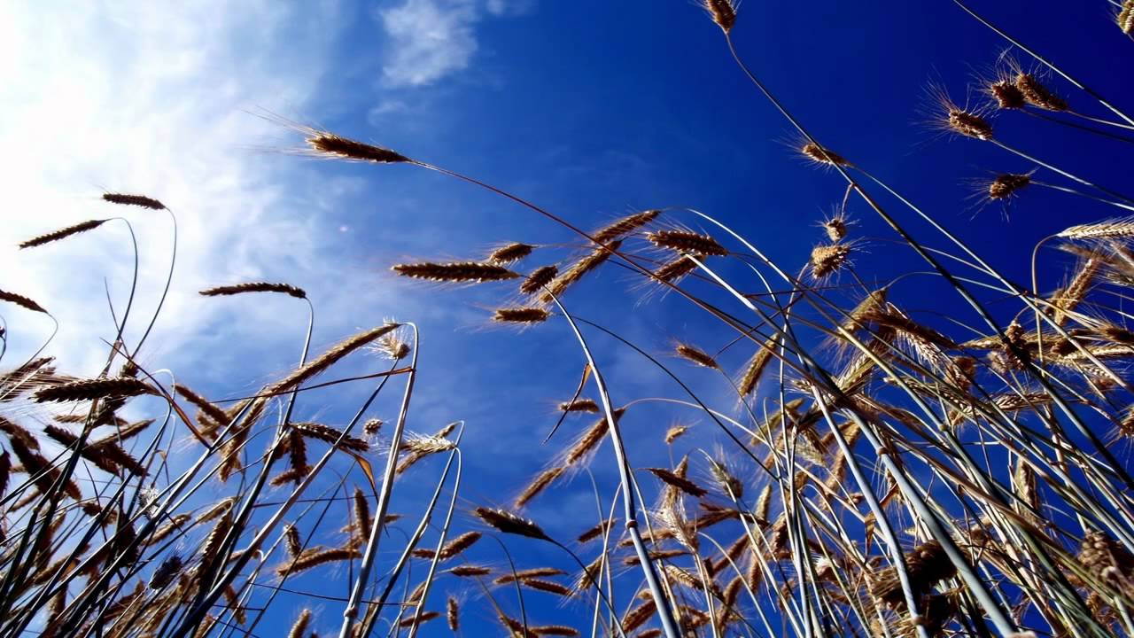 Armin van Buuren Vs. Solarstone - Spectrum Is Watching (MoKaRo's Under Control Mashup)