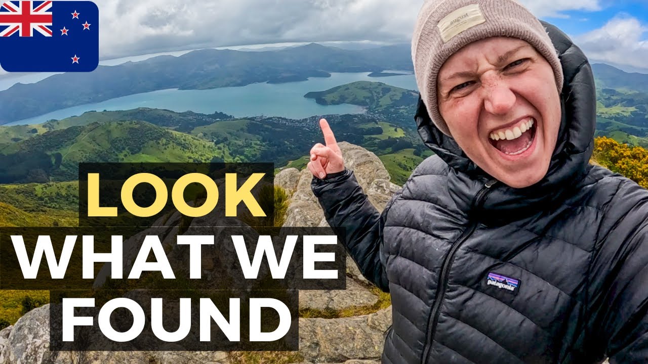 EPIC DAY TRIP From Christchurch To Akaroa, Little River, Banks Peninsula, New Zealand 🇳🇿