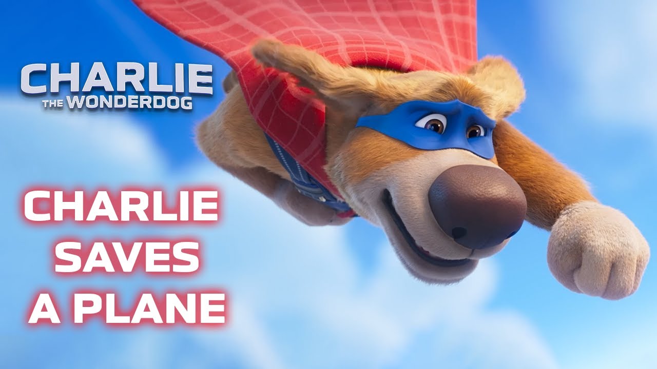 Super Dog's Biggest Rescue YET | Charlie the Wonderdog Clip