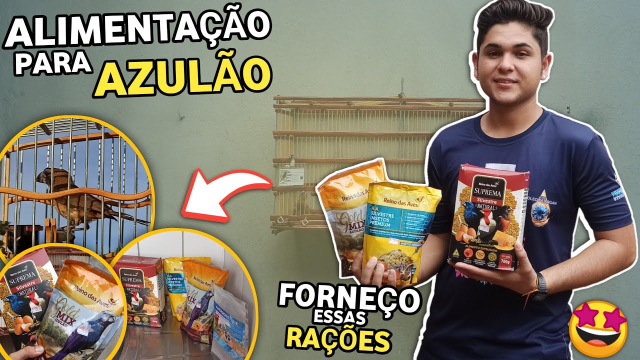 🤩 ALIMENTAÇÃO COMPLETA PARA AZULÃO - VIDEO ATUALIZADO 2024!!! (Saiba o que fornecer para o seu)