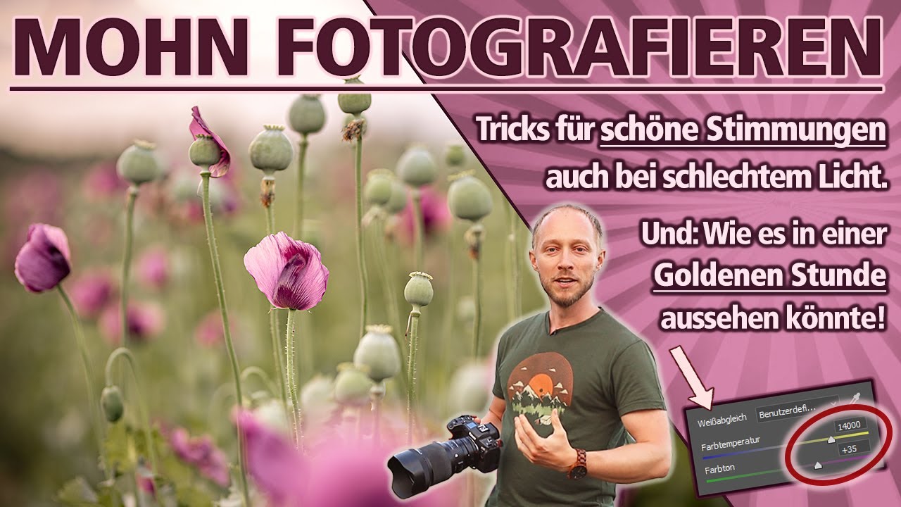 MOHN FOTOGRAFIEREN | Schöne Stimmungen auch bei schlechtem Licht! (Und wie es aussehen könnte ...)