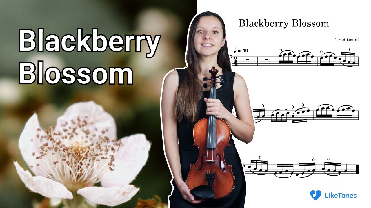 Blackberry Blossom – Easy Violin Tutorial for Beginners With Sheet Music & Piano Accompaniment