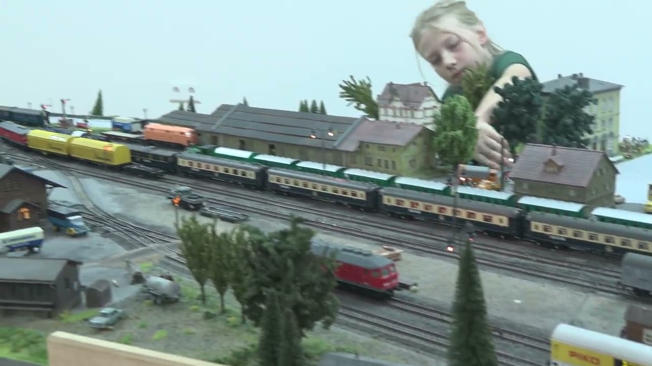 Modelleisen Bahnfreunde  Wangen