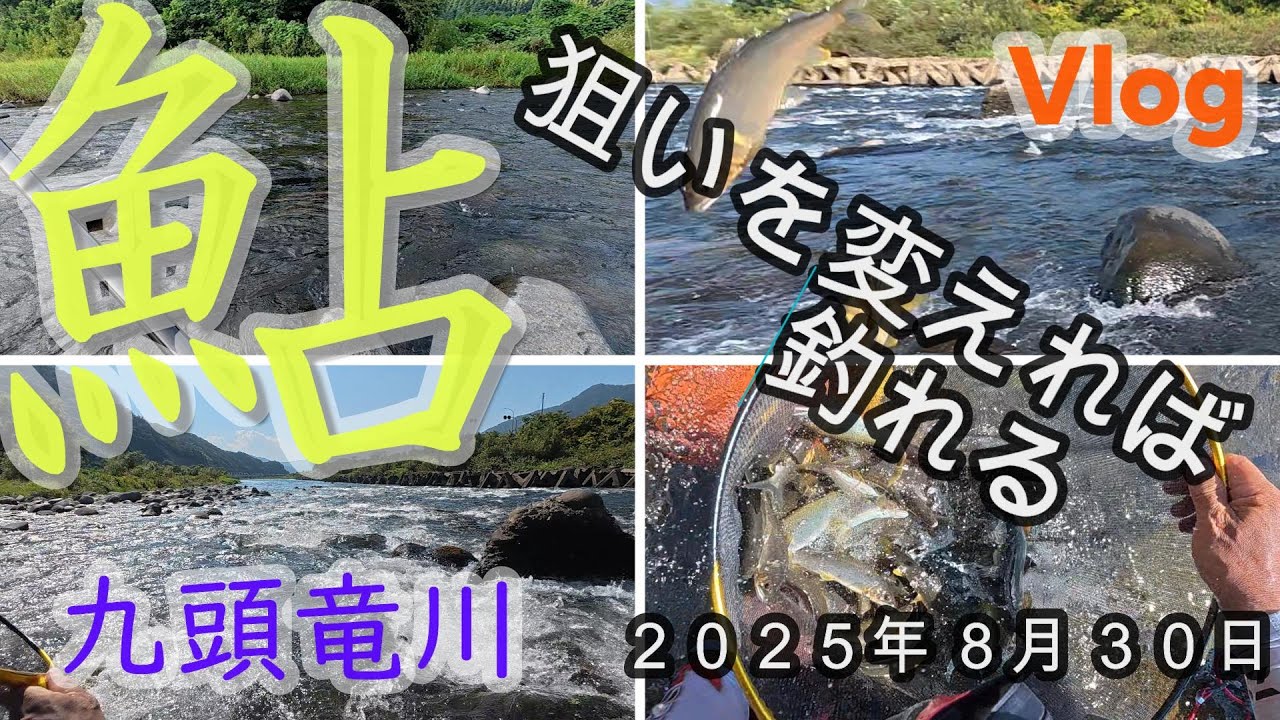 【九頭竜川】狙いを変えれば釣れる　２０２５．８．３０