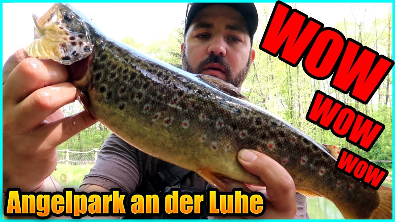 Ganz alleine Forellenangeln im Angelpark an der Luhe mit Spoon, Gummi, Bienenmade, Paste,