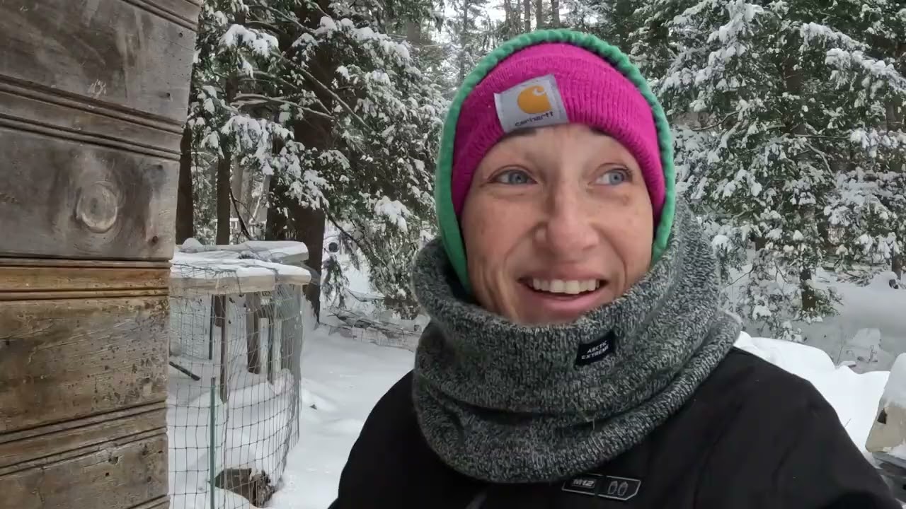 BURIED in SNOW on the farm