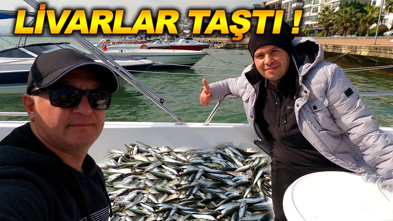 20 KİLO İSTAVRİT TUTTUK ! ULTRAVİYOLE ÇAPARİNİN FARKI-BALIK BULUCUYLA İSTAVRİT AVI- SAMSUN BALIK AVI