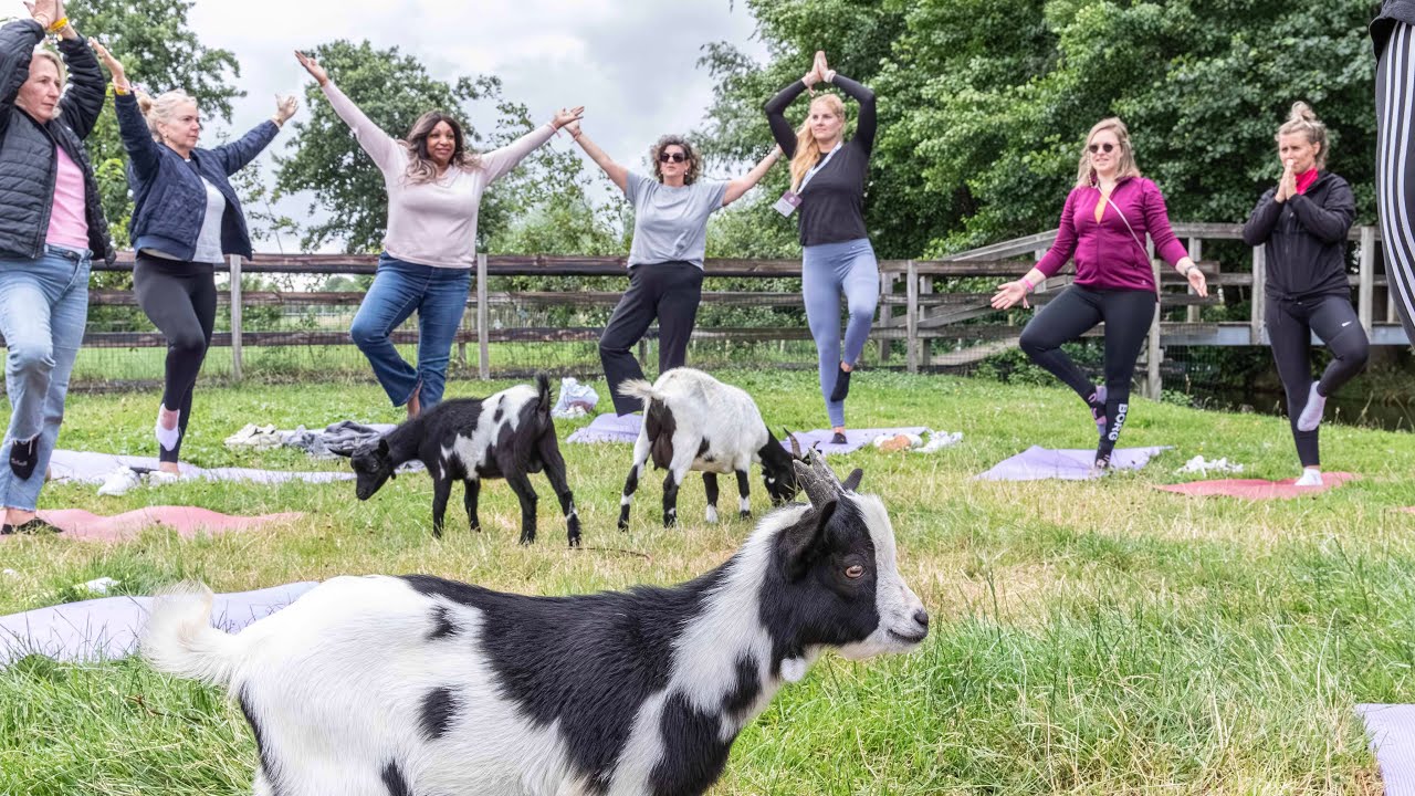 Locatietour Groene Hart 7 + 8 juli 2025