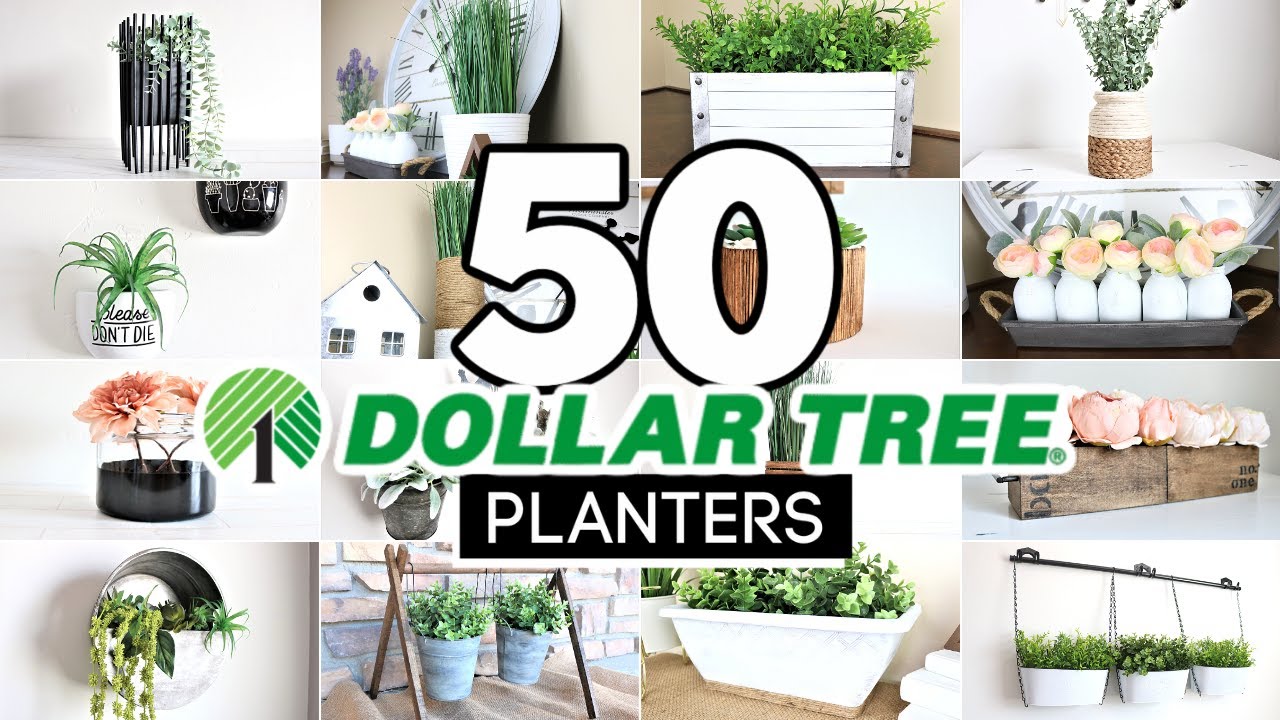 50 DIY Dollar Tree Decor Ideas | Best Budget-Friendly DIY Planters for 2021!