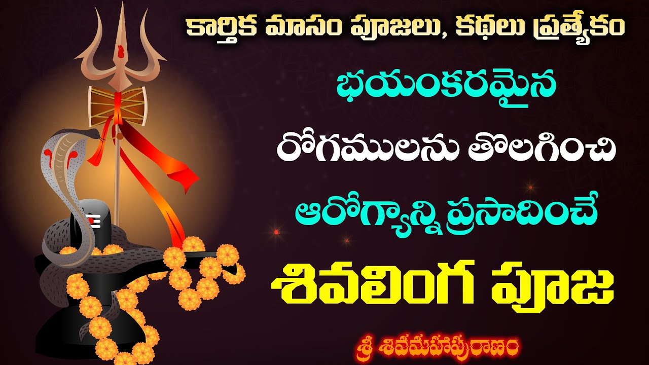 Sivalinga Pooja Story | ఆరోగ్యాన్ని ప్రసాదించే శివలింగ పూజ  | By BrahmaSri Vaddiparti Padmakar Garu
