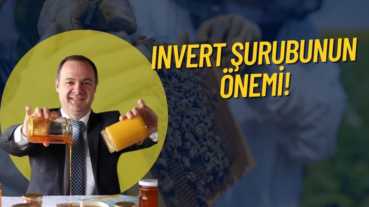 K&Ouml;YDE ARICILIK I ARICILIKTA INVERT ŞURUBU