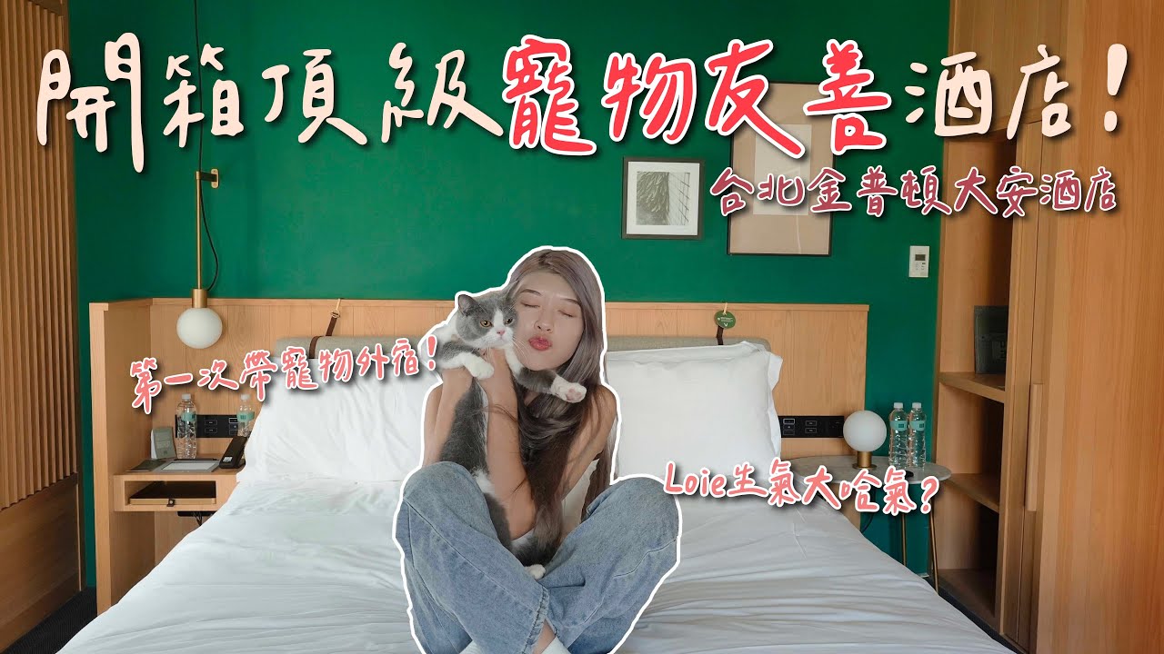 開箱東區頂級金普頓酒店！寵物友善竟然可以隨地走動？！｜廖廖好辣