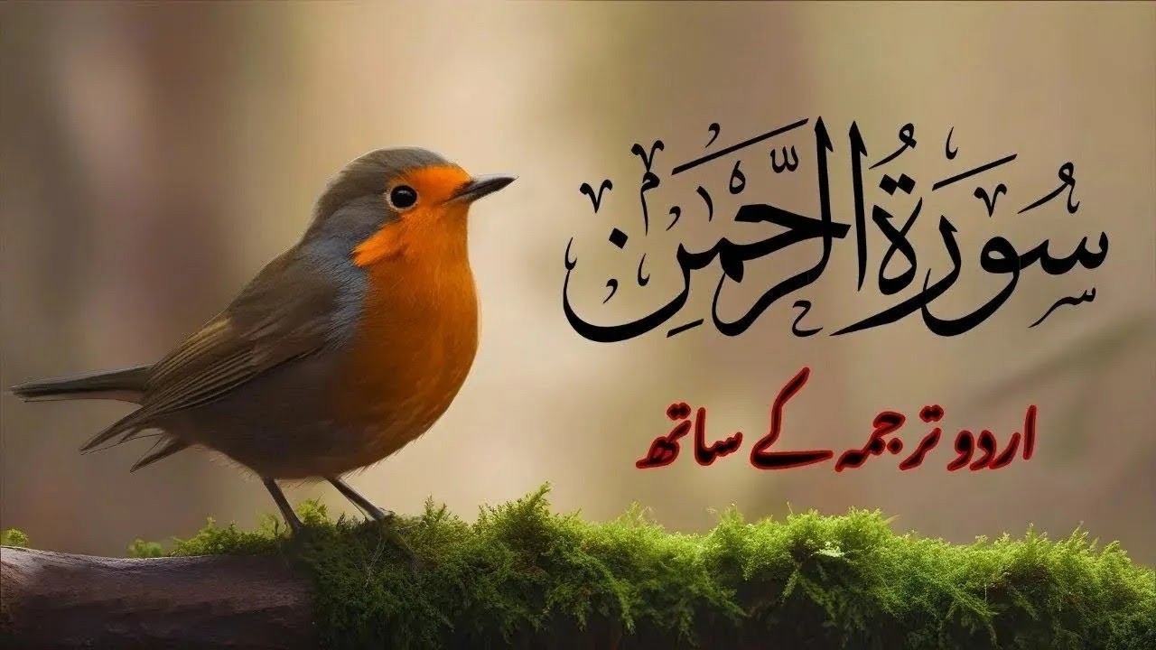Surah Rahman Urdu Tarjuma k Sath🌿  Qari Al Sheikh Abdul Basit Abdul Samad  Allah Loves Him 1   Copy