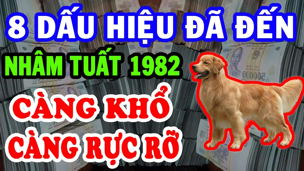 8 Dấu Hiệu Đã Xuất Hiện Nhâm Tuất 1982, Càng Khổ Càng Có Phúc Lớn, Hậu Vận Cực Giàu Cực Sướng