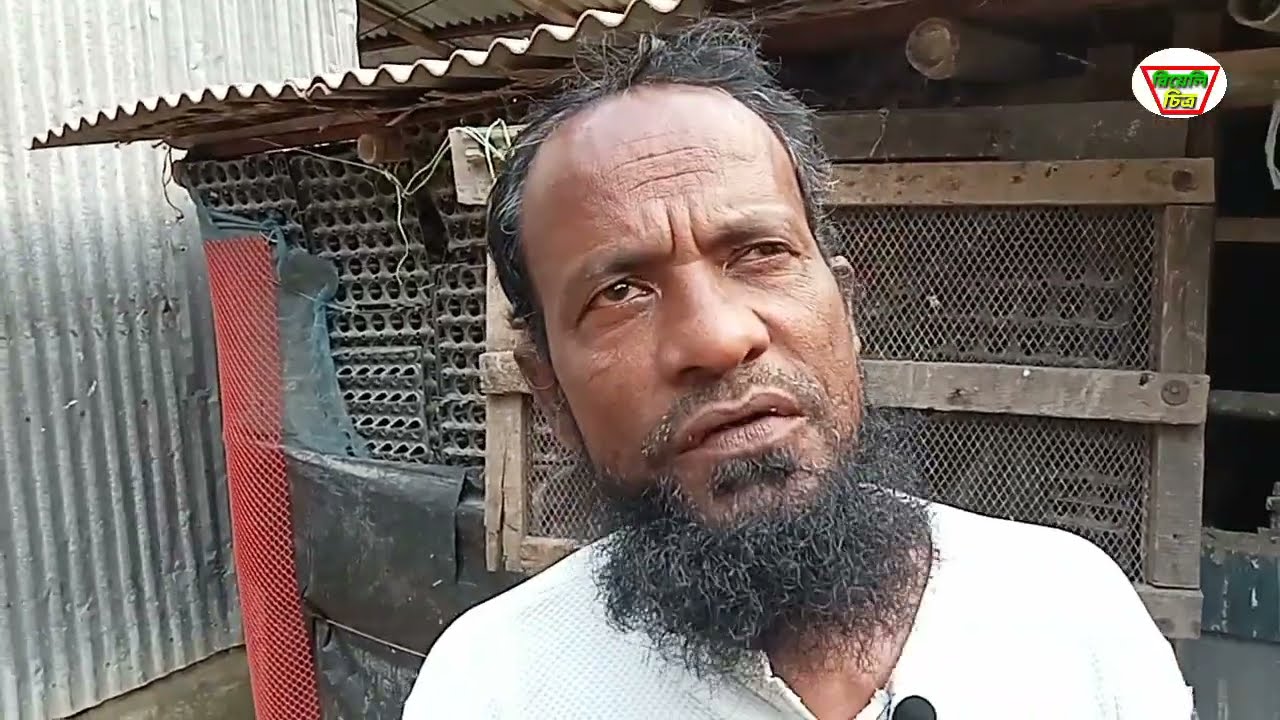 নতুন নিয়মে কবুতর পালন কোন রোগ-ব্যাধি হবে না যশোর রাজারহাট সীতারাম পুর গ্রামের। তোরব হোসেনের খামারে।