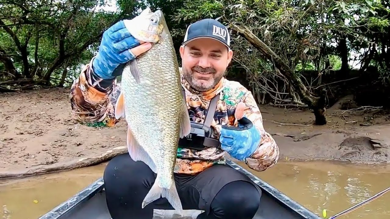 Pesca de machaca en el río Parismina Limón Costa Rica