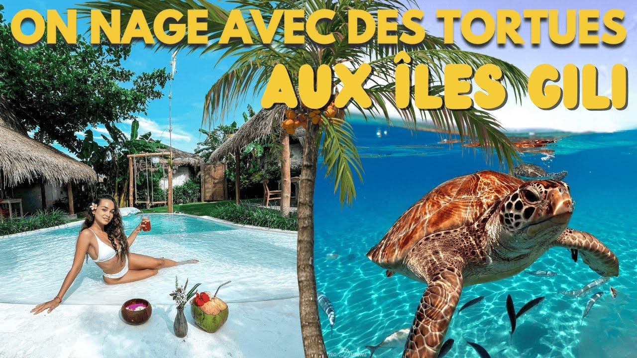 ON NAGE AVEC LES TORTUES AUX ÎLES GILI + Adresses (Hôtel, restos, bateaux, activités 🐢🥞🍉