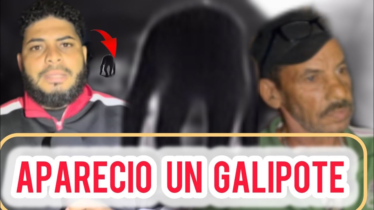 APARECIÓ UN GALIPOTE , PERSONAS DICEN QUE ES ESO QUIEN SE ESTÁ RABANDO  LOS  NIÑOS EN DOMINICANA..
